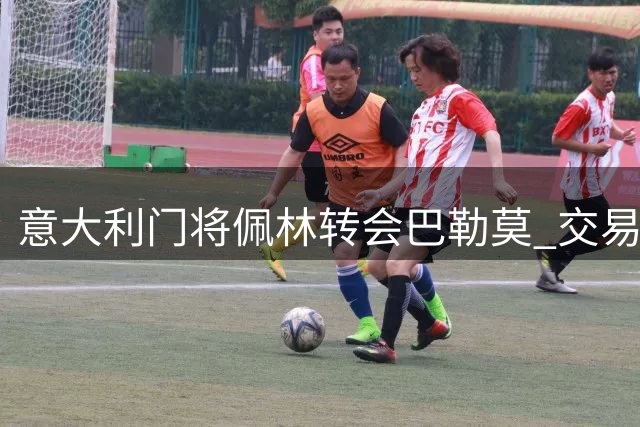 意大利门将佩林转会巴勒莫 交易细节曝光