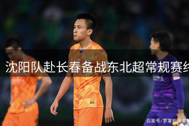 沈阳队赴长春备战东北超常规赛终场对决